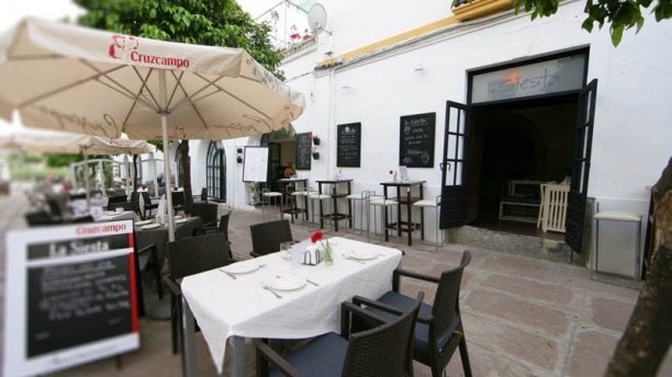 Restaurants La Siesta Lounge Restaurante