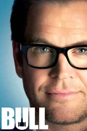 Serie Bull