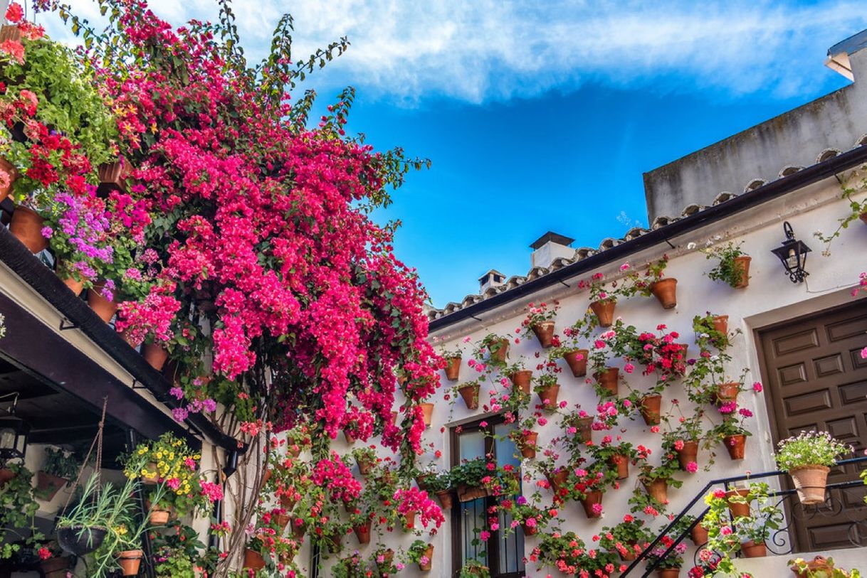 Lugar Patios de Córdoba