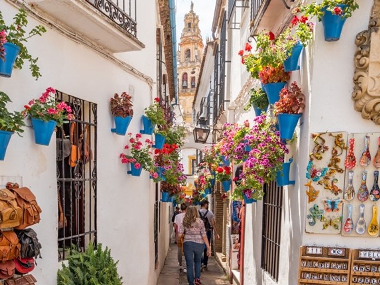 Lugares Calleja de las Flores