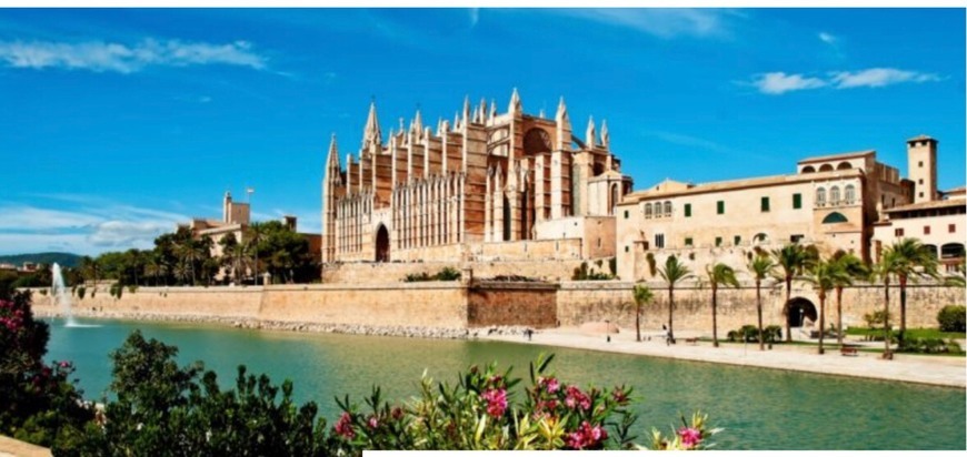 Moda • palma de maiorca ✨