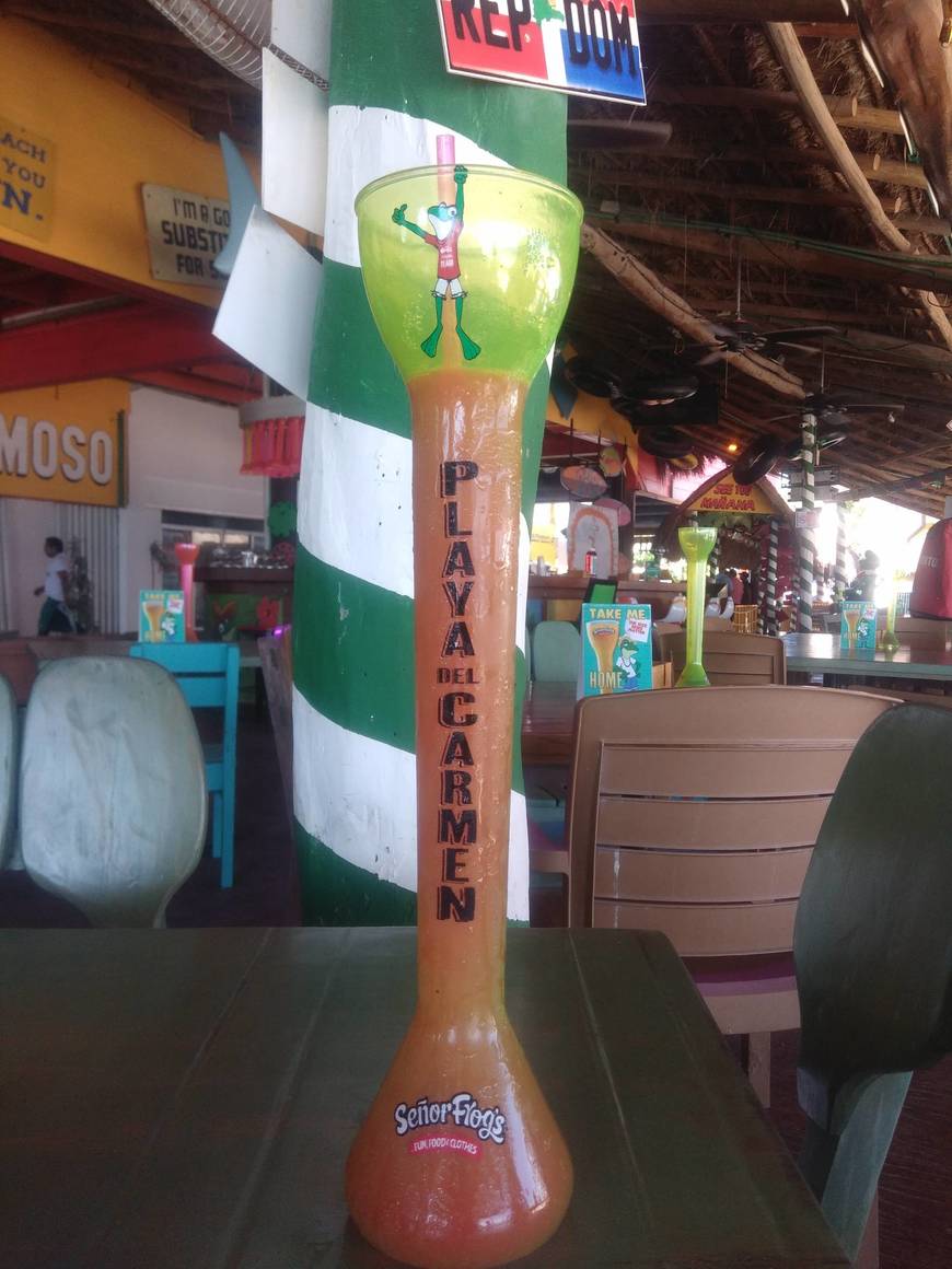 Place Señor Frog's Playa del Carmen