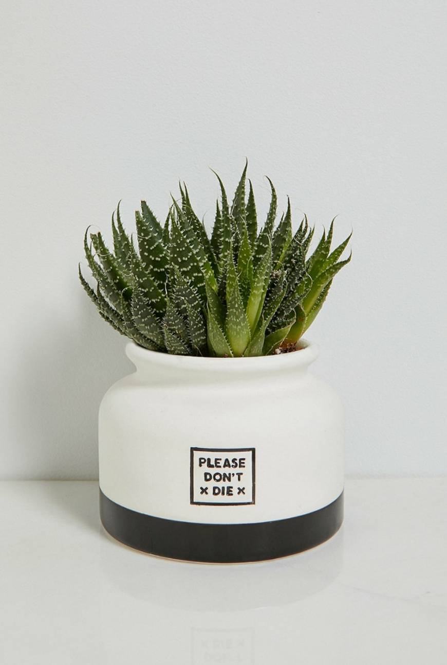 Productos Urban Outfitters please don't die plant pot