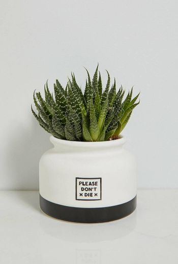 Urban Outfitters please don't die plant pot