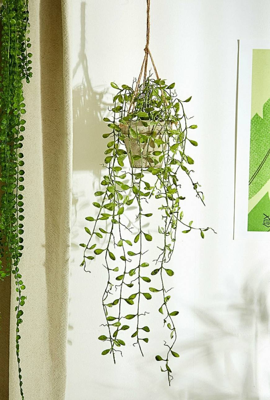 Productos Urban Outfitters hanging boxwood faux plant