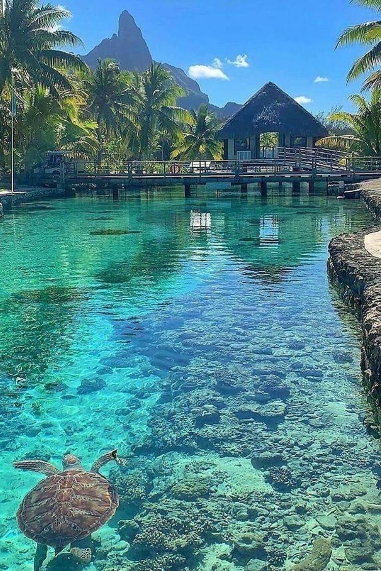 Lugar Tahití