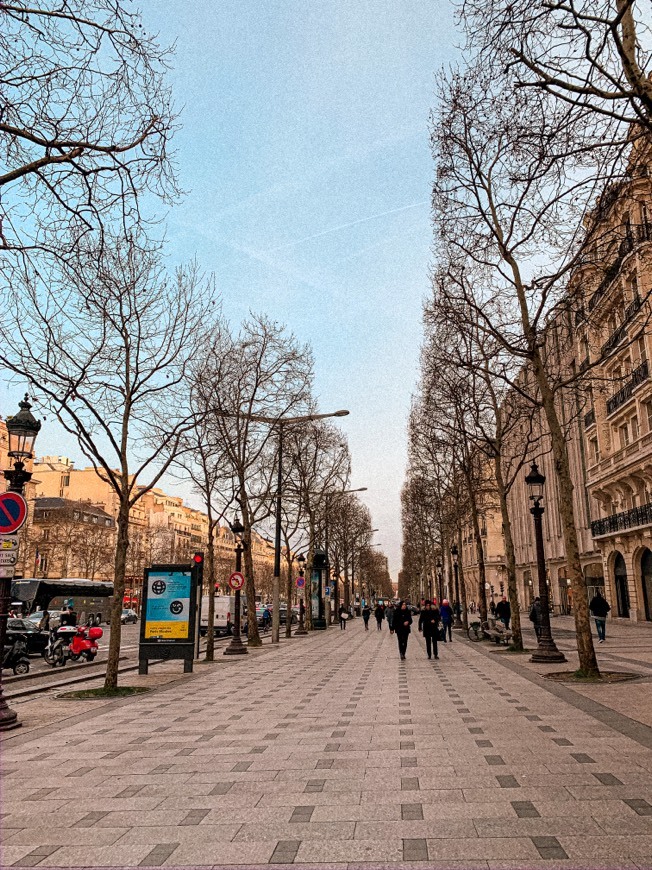 Place Champs Elysees