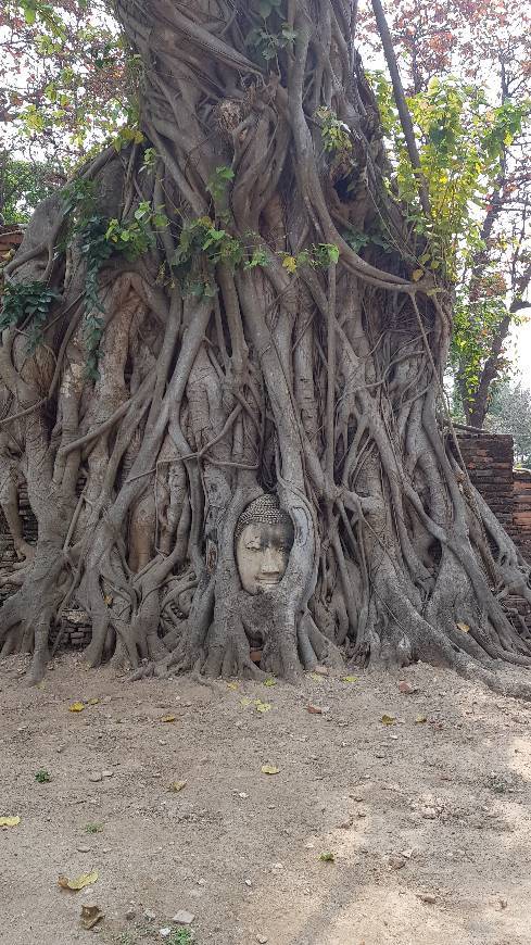 Lugar Ayutthaya