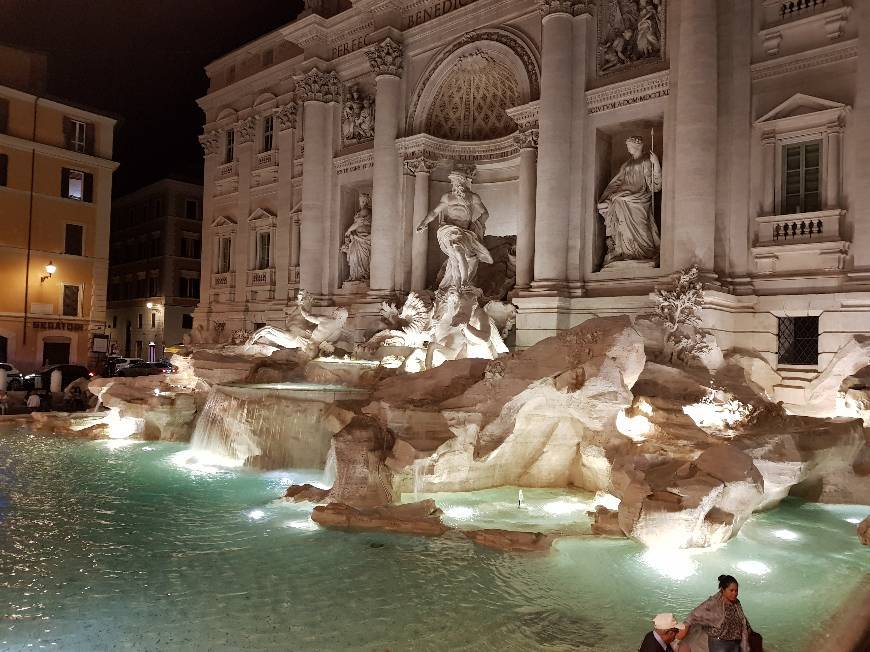 Place Fontana di Trevi