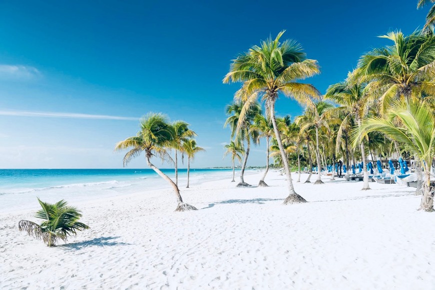 Place Playa Paraiso