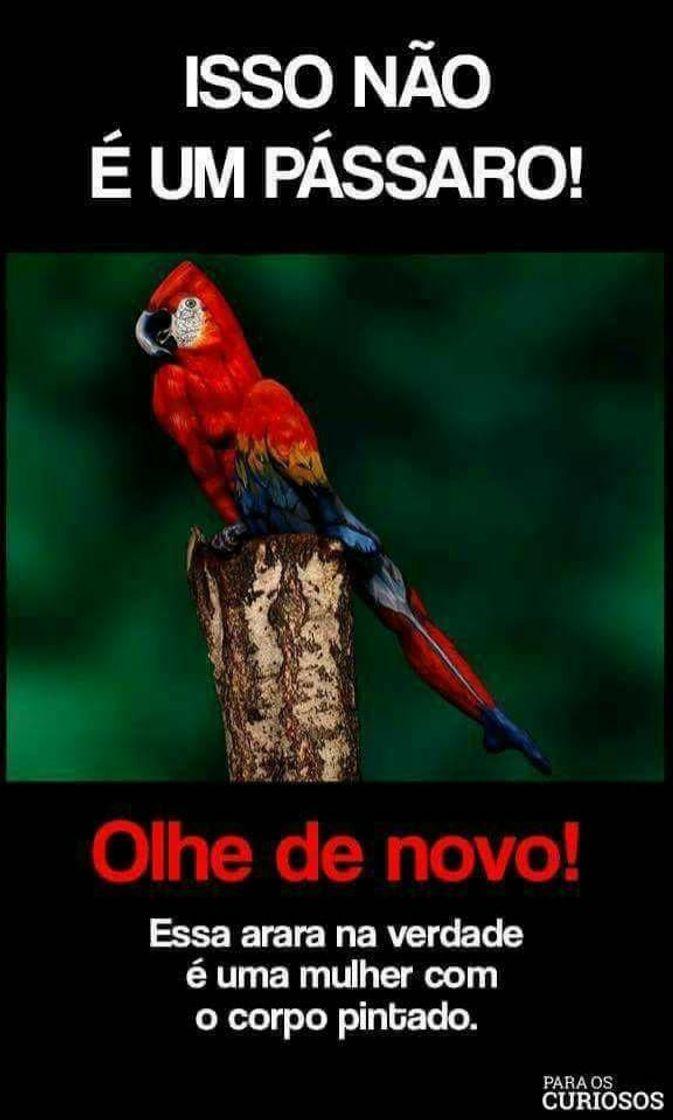 Fashion Olhe de novo!!!!