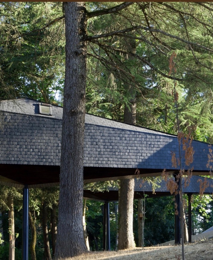 Lugar Pedras Salgadas Spa & Nature Park