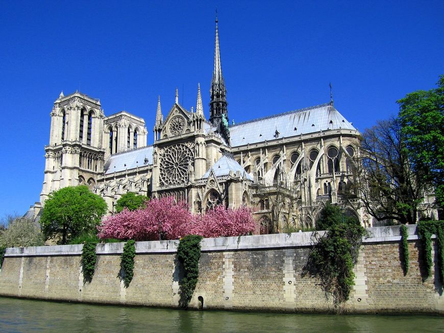 Lugar Catedral de Notre Dame