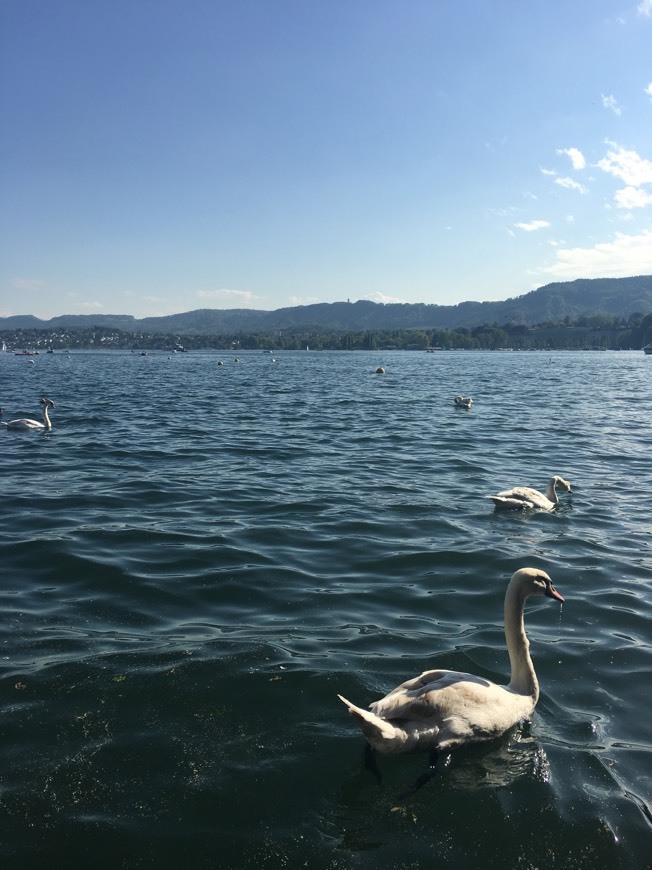 Lugar Zürichsee