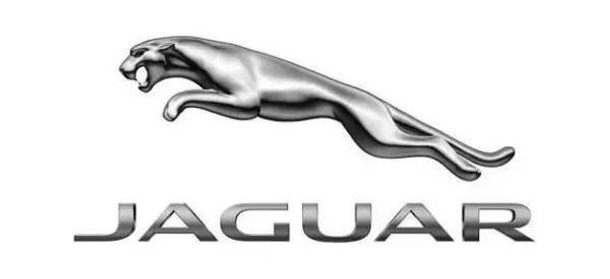 Fashion Jaguar