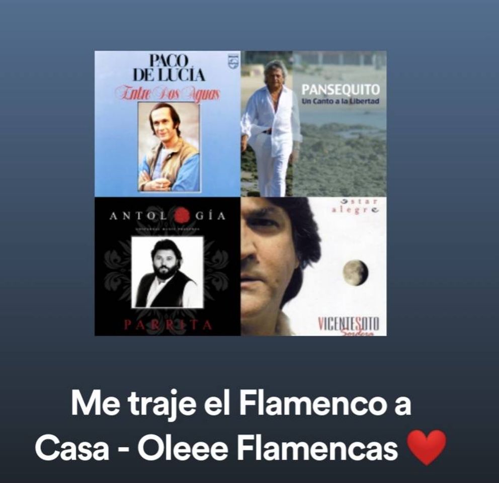 Music Me traje el Flamenco a casa - Oleee.Flamencas ❤️