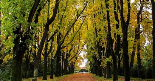 Parque de Serralves