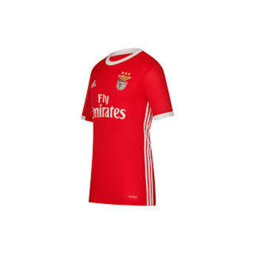 adidas - SL Benfica -  Casaco Tiro Pre 19/20