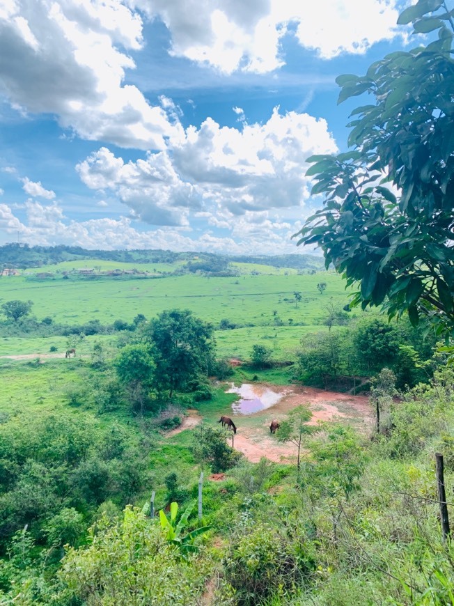 Lugar Minas Gerais