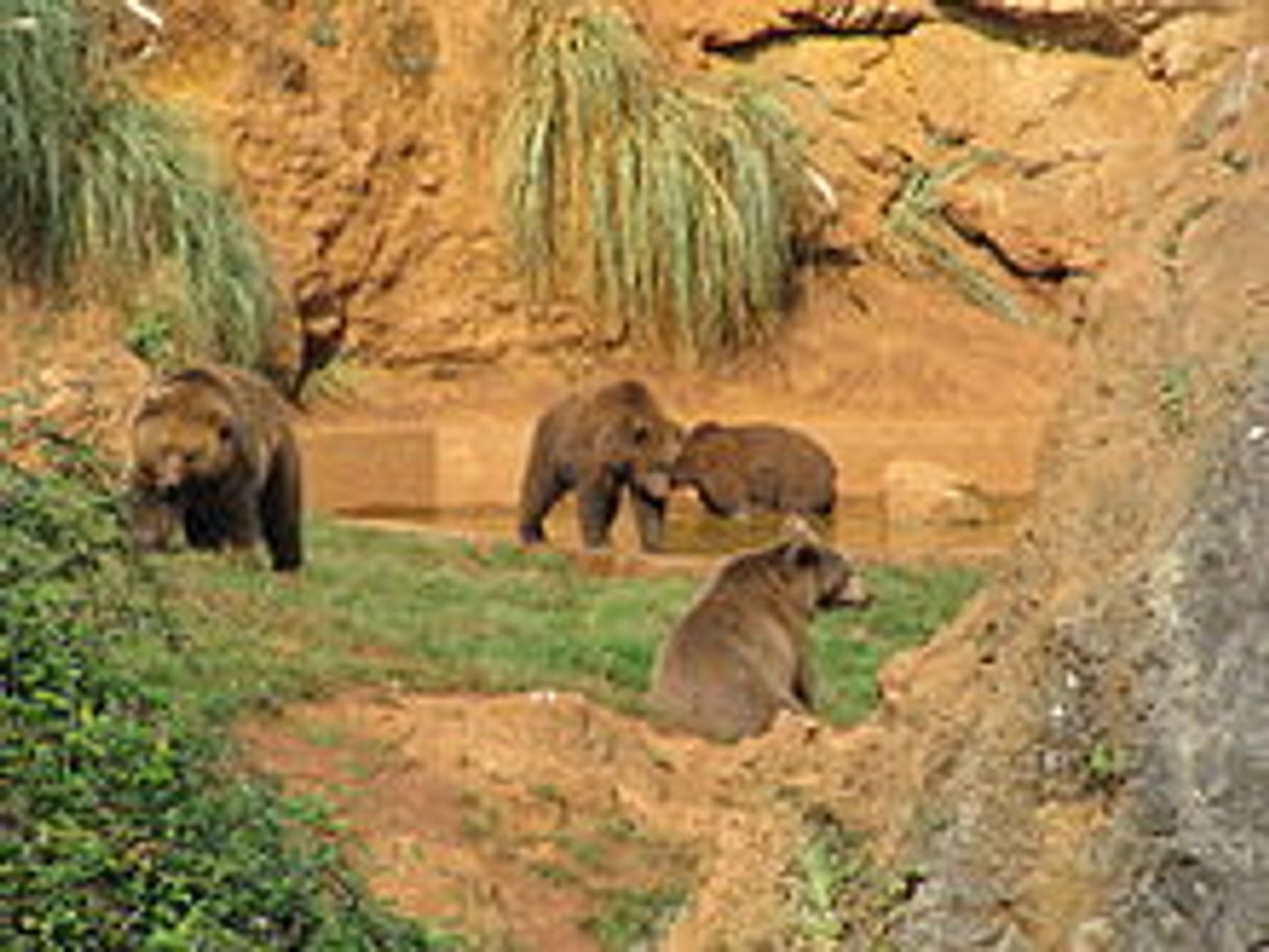 Place Cabárceno Natural Park