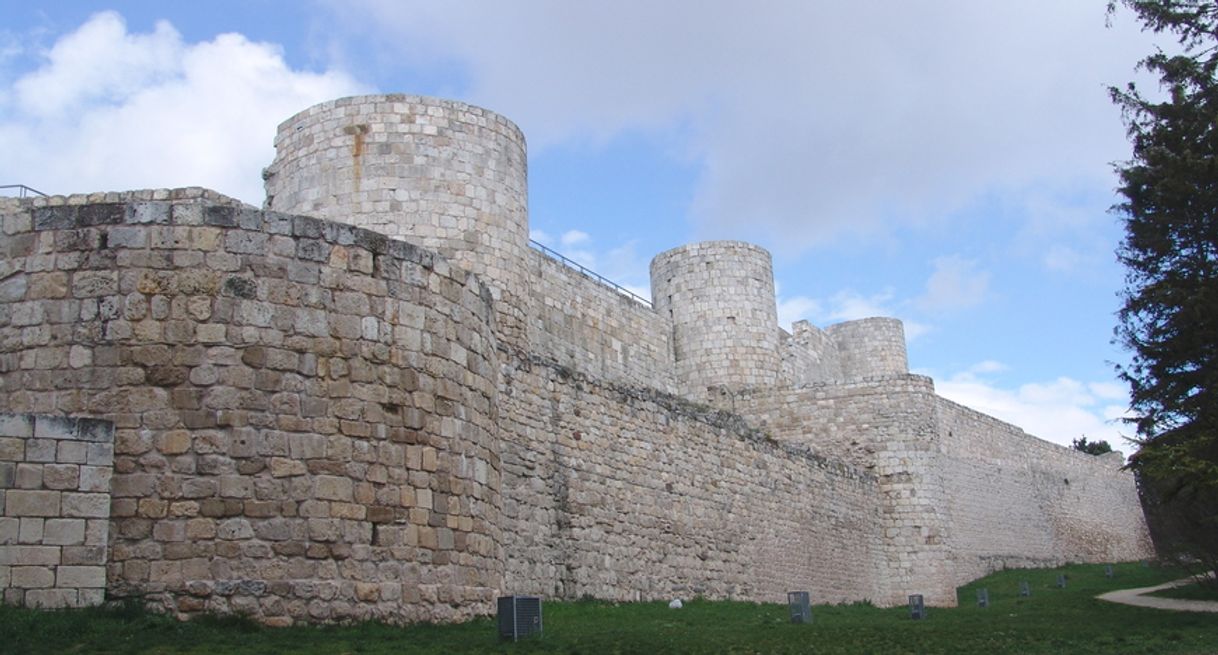 Lugar Castillo de Burgos