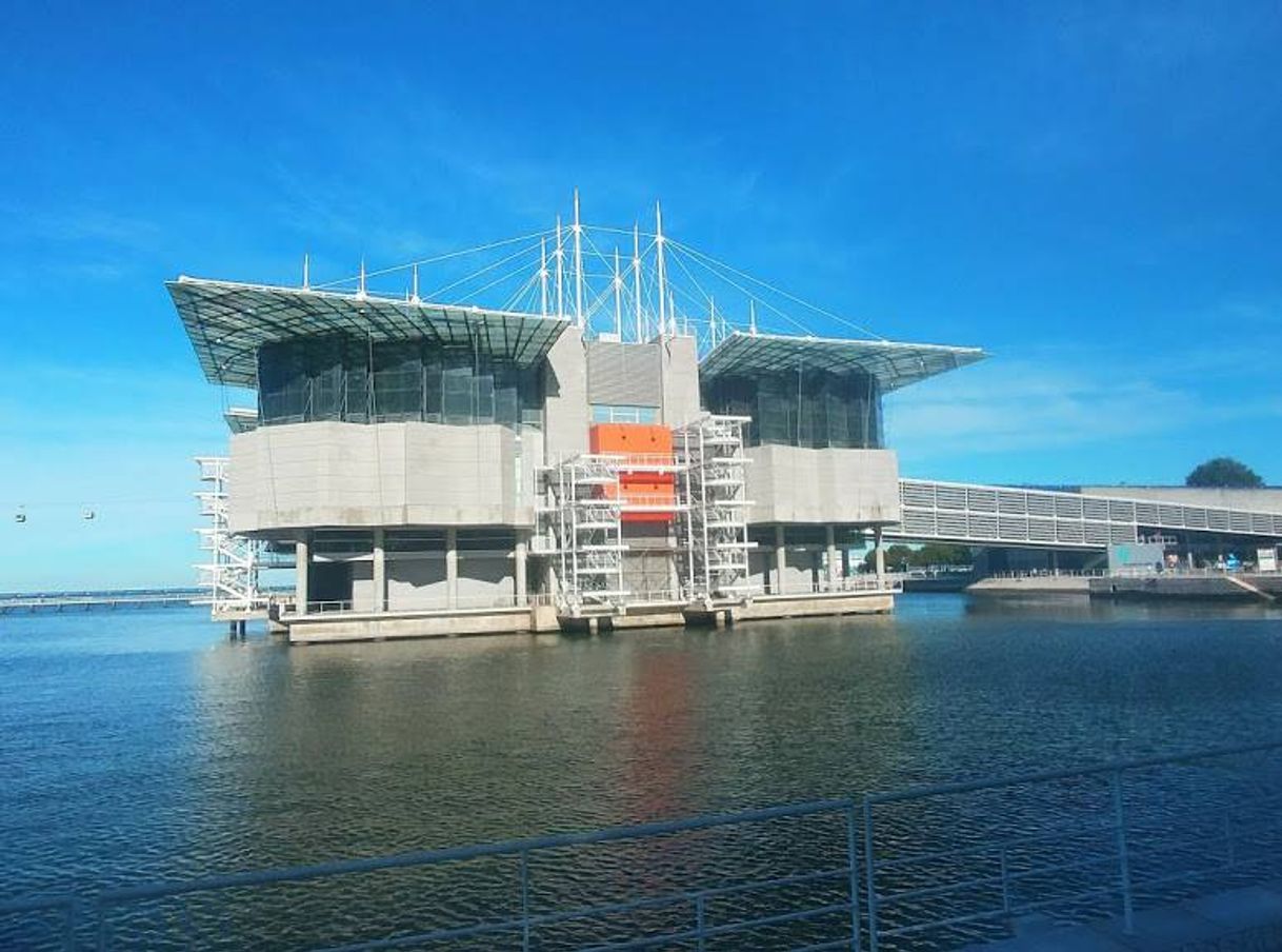 Lugares Oceanário de Lisboa