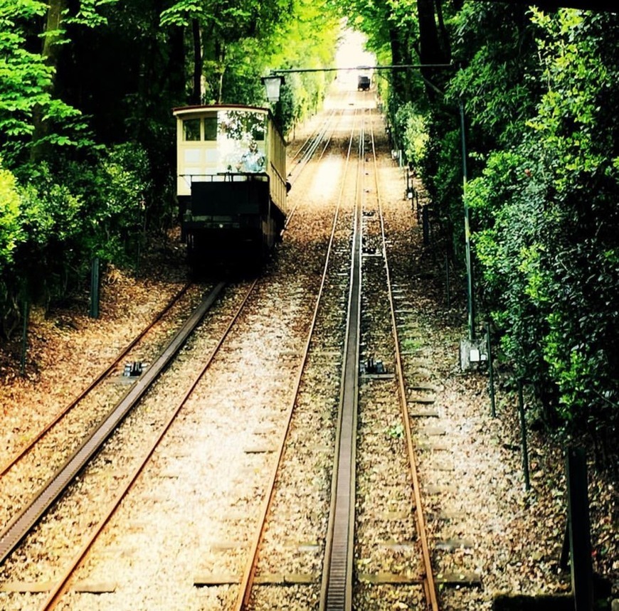 Place Elevador Bom Jesus