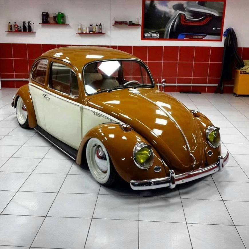 Moda Fusca