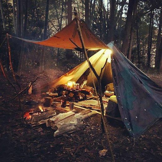 Survival tent