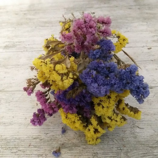 Statice Flowers 