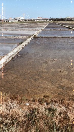 Salinas de Aveiro