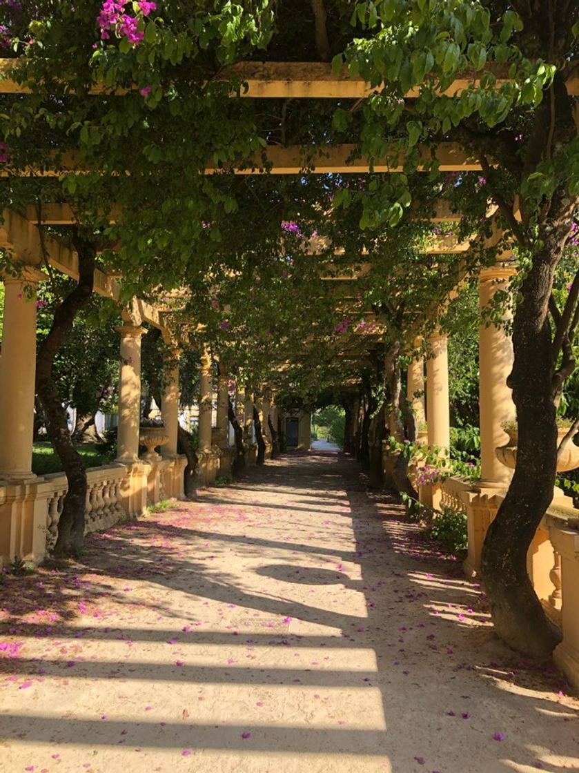 Place Parque Dom Pedro Infante - City Park