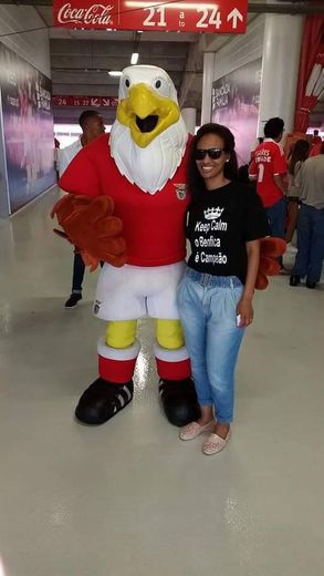 Estádio Sport Lisboa e Benfica