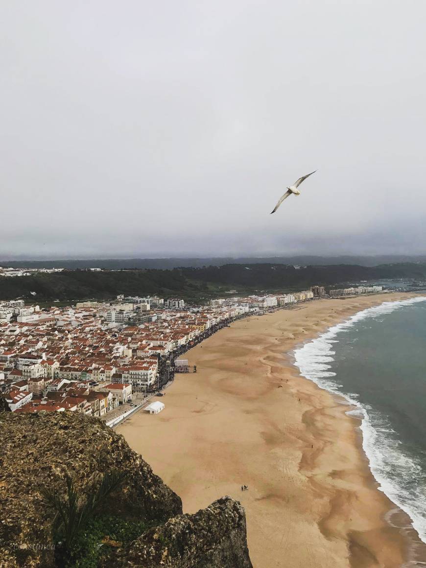 Lugar Nazare Beach