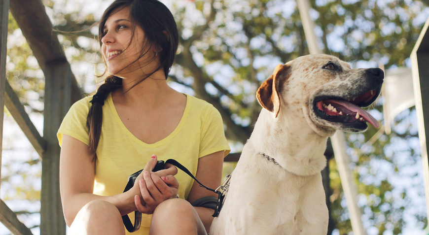 Moda Cascais ganha um hotel pet friendly onde os cães e gatos podem ...