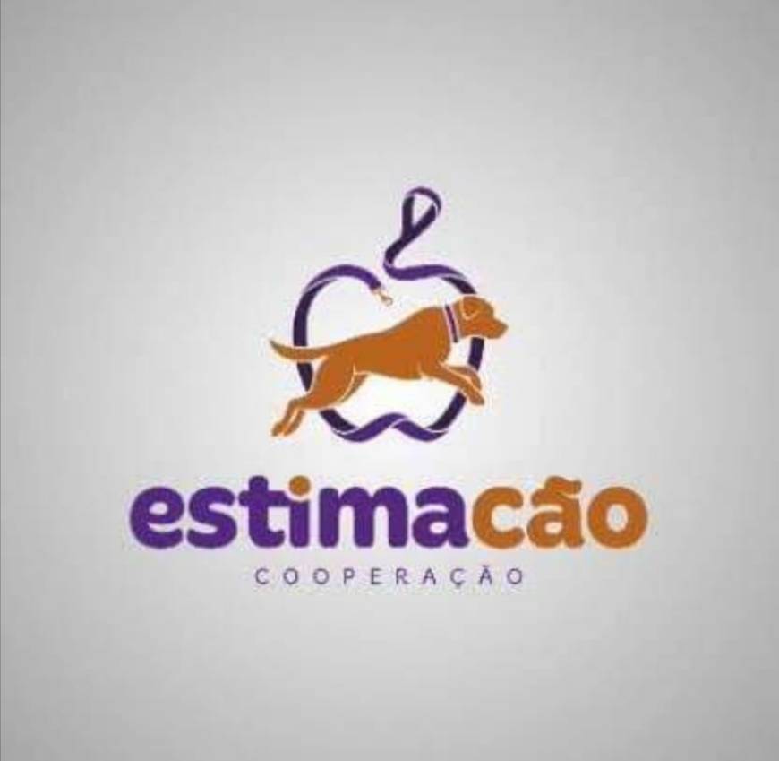 Fashion Estimacão - treino positivo