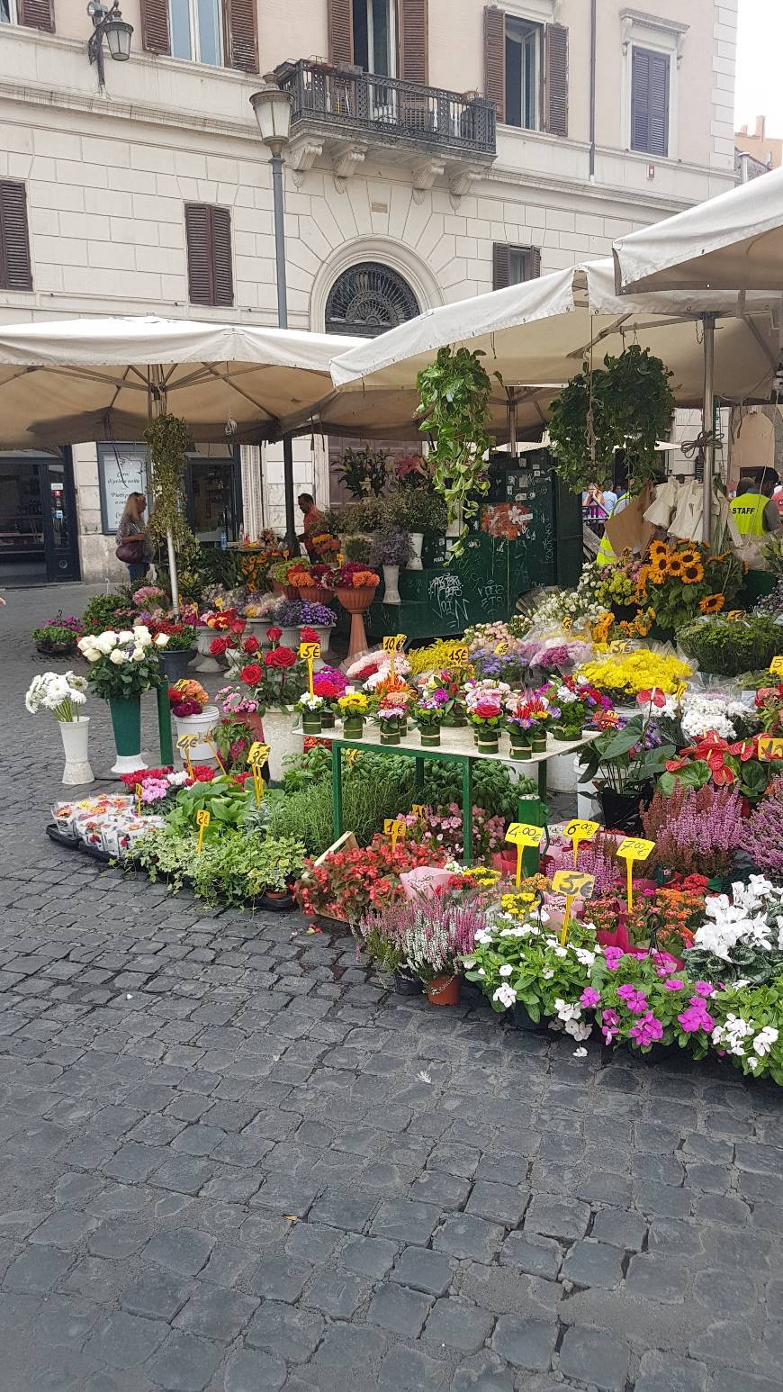 Lugar Campo de' Fiori