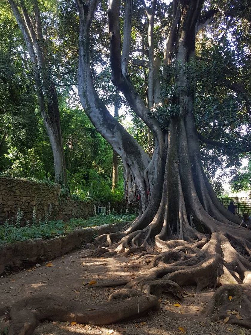 Place Jardins da Quinta das Lágrimas