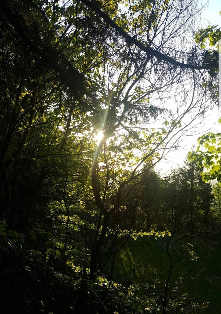Place Monte Crasto