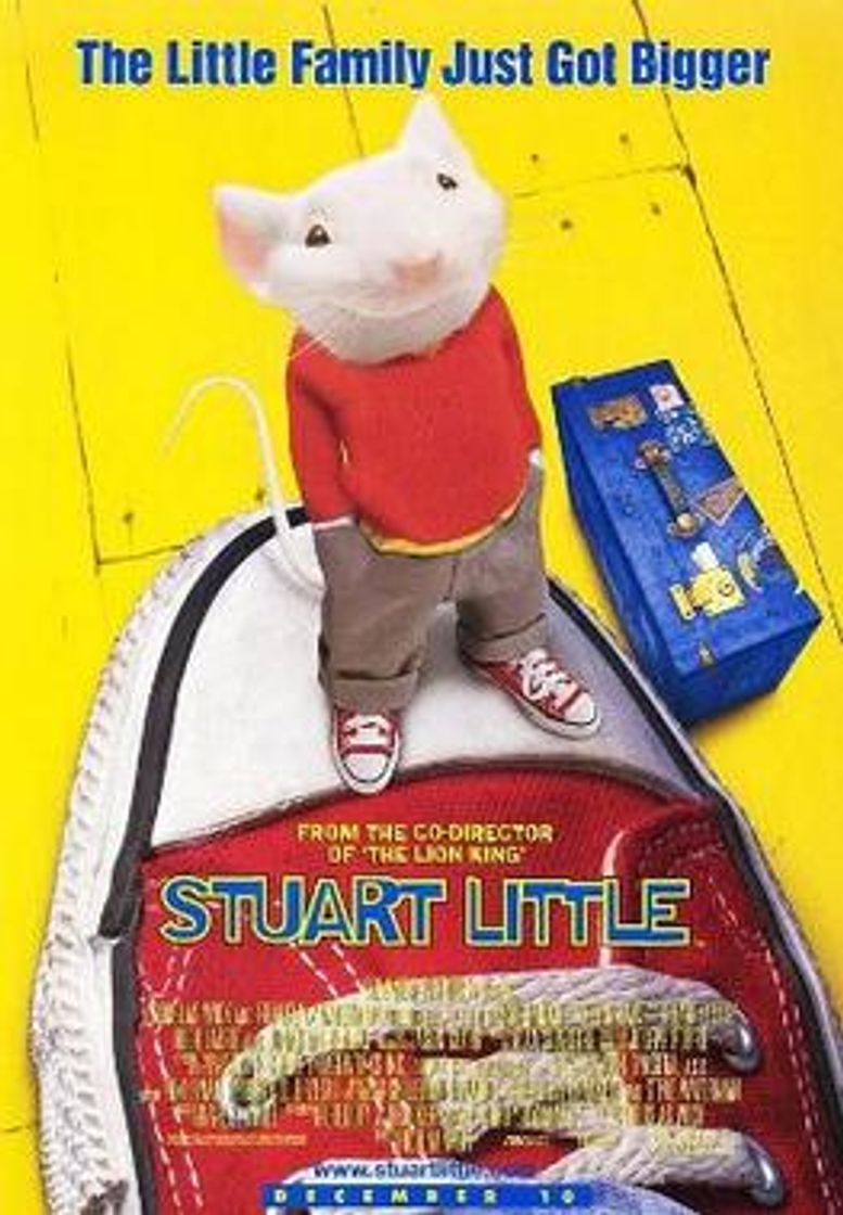 Social Stuart  little