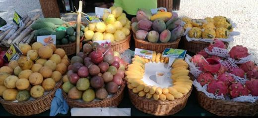 Mercado dos Lavradores