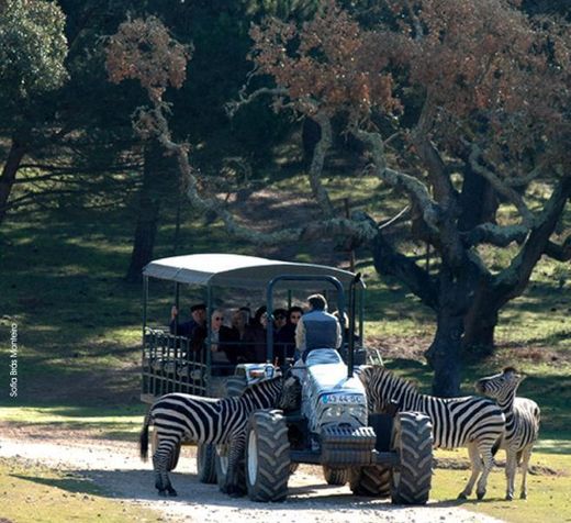 Badoca Safari park