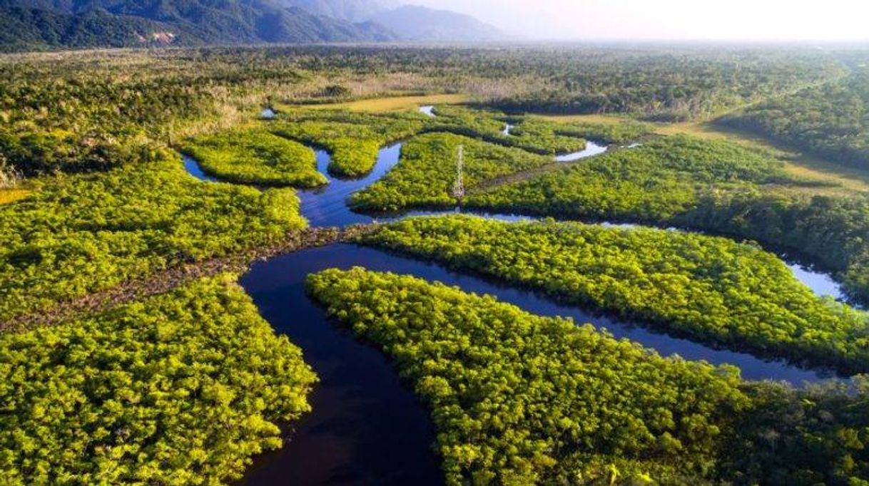 Place Amazonia