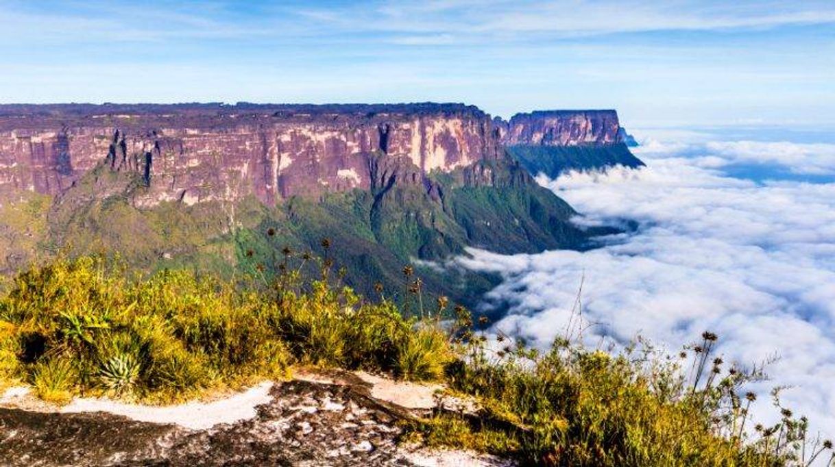 Place Monte Roraima