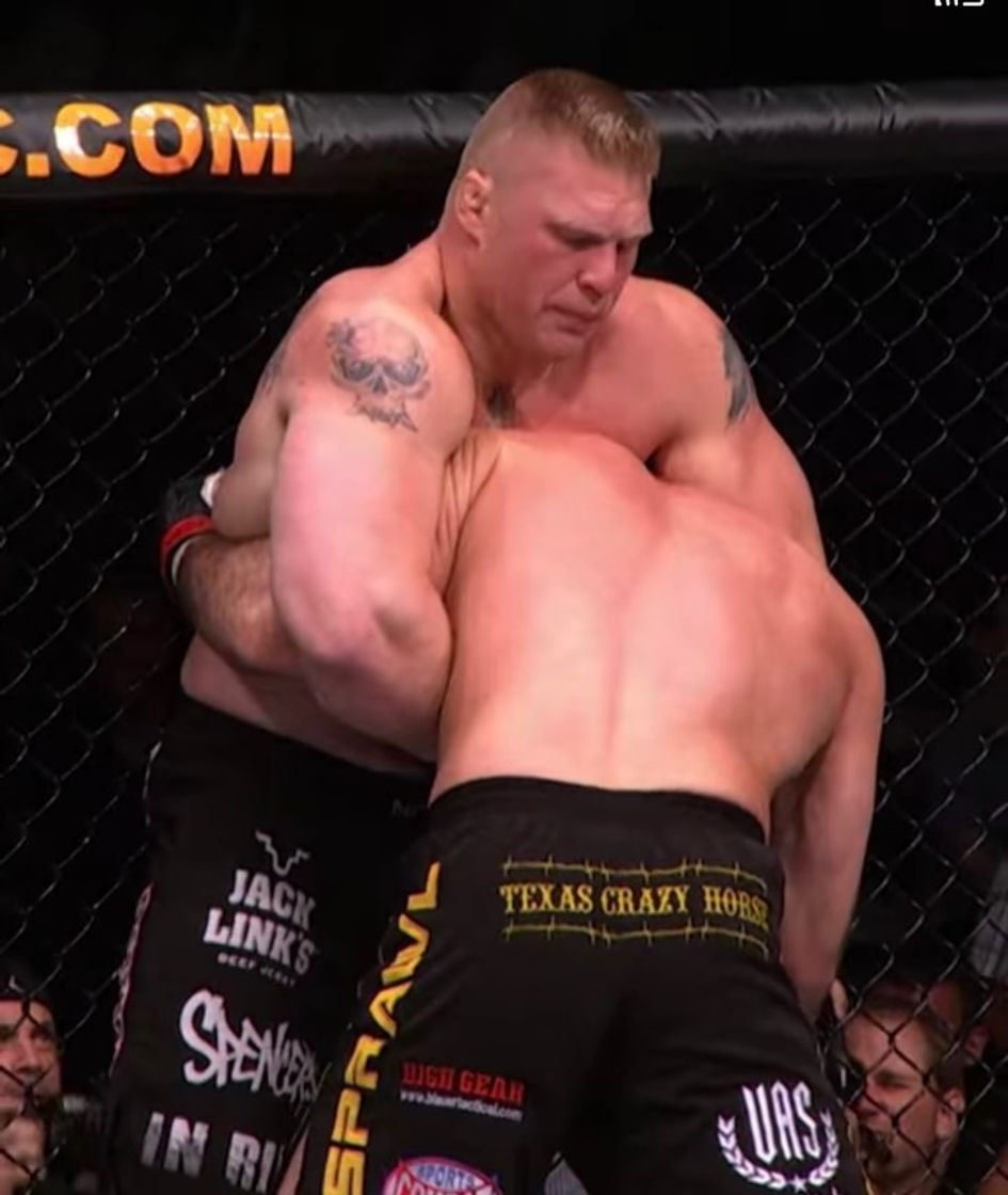 Fashion Brock Lesnar dominates Herring 