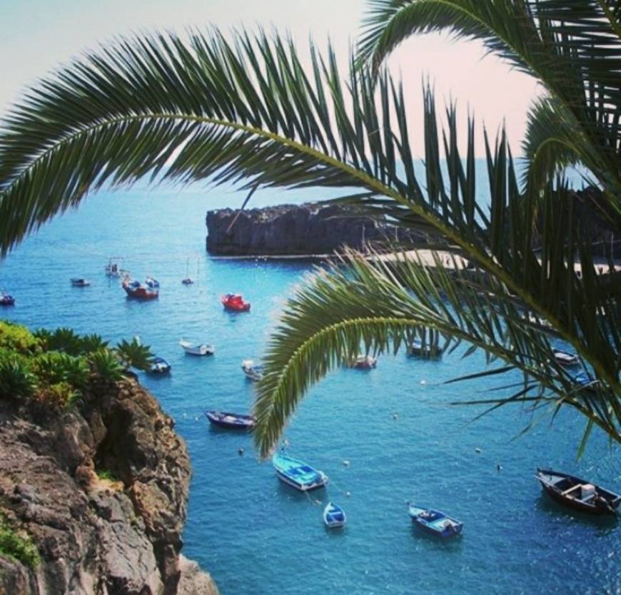 Place Câmara De Lobos