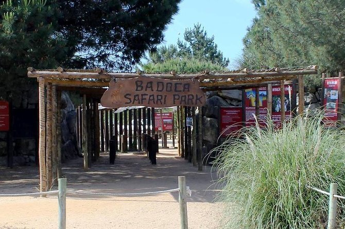 Lugar Badoca Safari Park