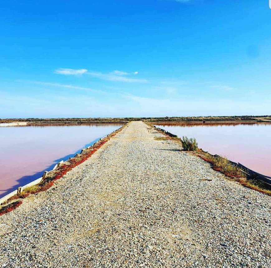 Place Ria Formosa Natural Park