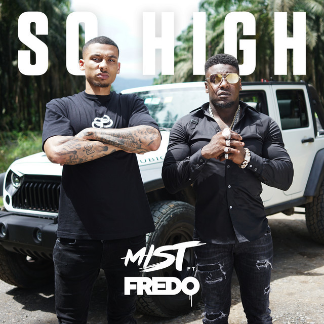 Music So High (feat. Fredo)