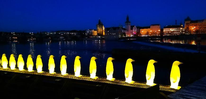 Place Pinguins